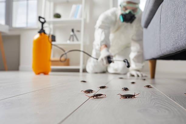 Trusted Cockroach Control service in Boiling Springs, SC - Nex Pest Control