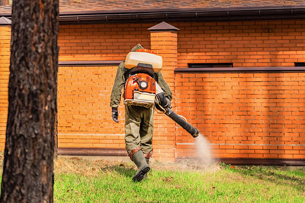 Trusted Emergency Pest Control service in Boiling Springs, SC - Nex Pest Control
